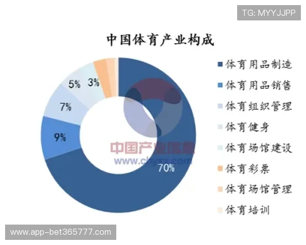 分析365日博集团在体育营销与赞助领域实现品牌价值跃升的具体策略 分析365日博集团在体育营销与赞助领域实现品牌价值跃升的具体策略