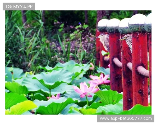 bet365线上官网手机端访问指南,随时随地畅享体育投注乐趣 bet365线上官网手机端访问指南,随时随地畅享体育投注乐趣