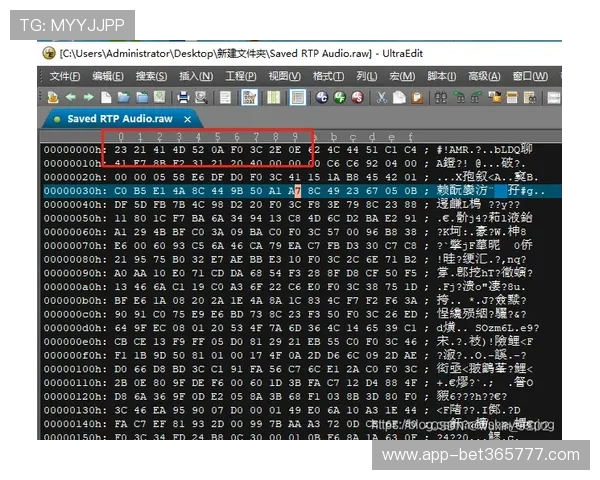 365滚球如何利用专业工具优化投注策略实现稳定盈利的详细操作流程