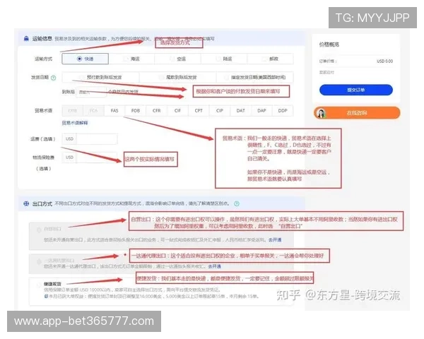 365速发国际为游戏商家提供专业的国际发货服务实现订单高效处理